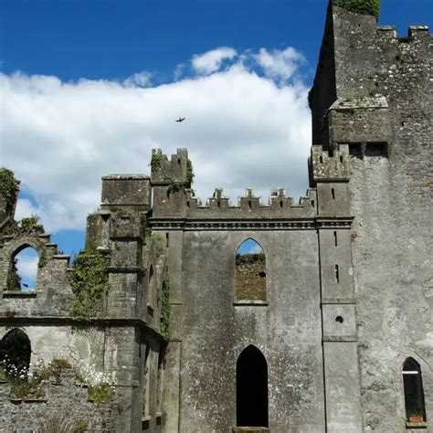 things to do in roscrea|Roscrea ☘️ : activities & accommodation • Go